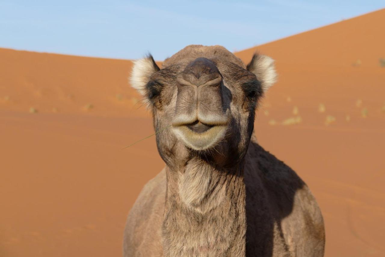 Authentic Luxury Camp Hotel Merzouga Exterior photo