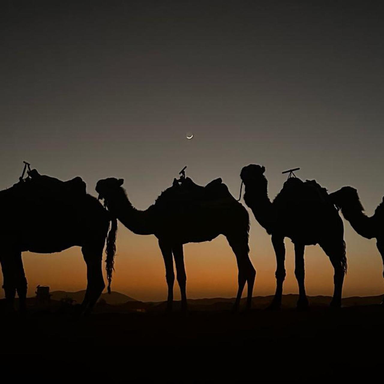 Authentic Luxury Camp Hotel Merzouga Exterior photo